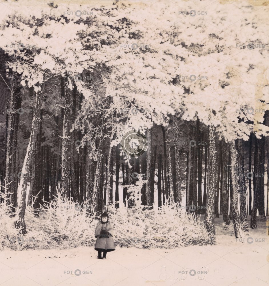 Stránčice. Partie u lesa. 1. 1. 1893. Polovina stereofotografie.