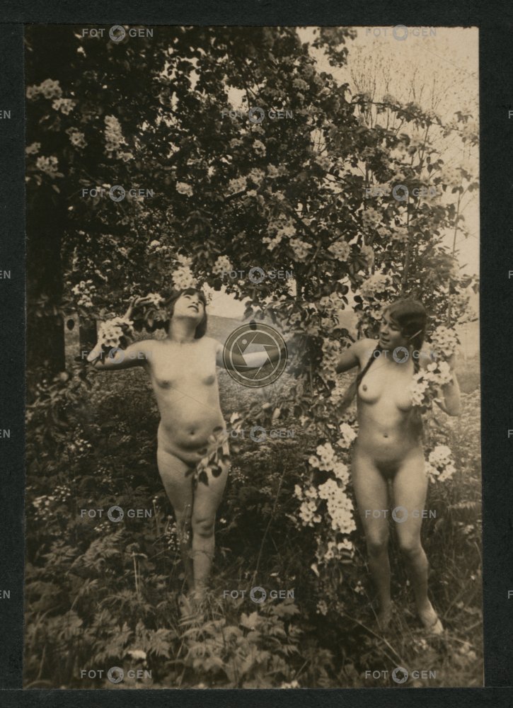 Akty dvou žen v zahradě, polovina stereofotografie