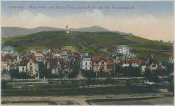 Litoměřice vilová čtvrt 1916