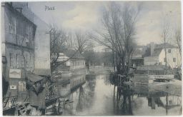 Plzeň sklad nábytku Jan Tyl Ryby Fische 1907