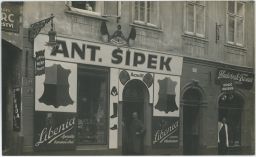 Olomouc Libenia Šípek kadeřník kočička v okně :-) ateliér Dvořáček