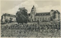 Stockholm muzeum