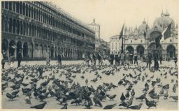 Benátky Venezia basilika Sv. Marca náměstí holubi 1928
