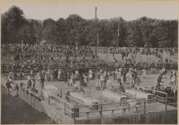 Národopisná Výstava Českoslovanská v Praze 1895, Plzeňská svatba v amfiteátru, kabinetka, světlotisk