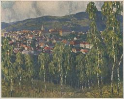 Valašské Meziříčí