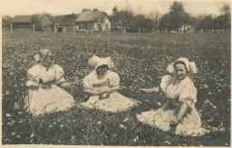 Etnografie kroje