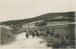 Vlaslovic Wlaszlovits Štós Košice