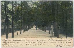 Františkovy lázně Solný pramen alej Salzquelle Franzensbad 1904