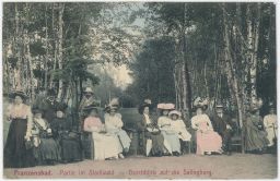 Františkovy lázně městský les Salinburg 1913