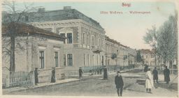 Stryj Стрий Ulica Wallowa Ukrajina 1909