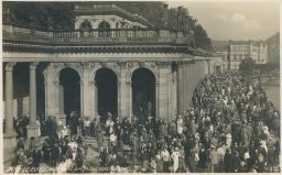Karlovy Vary srocení u pramene