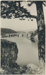 Štěchovice Praha-západ přehrada poeticky od stromu Rotografie