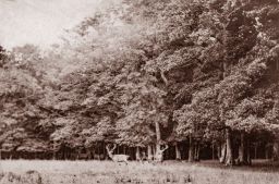 Dubí - Mstišov, obora zámečku Tuppelburg, vizitka