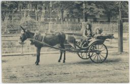 Karlovy Vary Karlsbad dětičky kočár oslík Dresden
