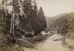 Karlovy Vary, lesní partie poblíž Sálu přátelství, vizitka