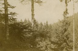 Karlovy Vary, lázeňské lesy u Russelovy skály (Russelsitze), vizitka