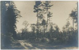 Ždánice partie Ždánický les Kyjov Hodonín 1918