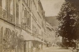 Karlovy Vary, Stará Louka, vizitka