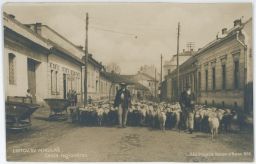 Liptovský Mikuláš Cesta legionárov bačové ovce nakl. Kocour a Beran 1922