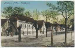 Budapest Budakeszi Föutca 1915