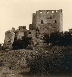 Obec Boseň, hrad Valečov, polovina stereofotografie