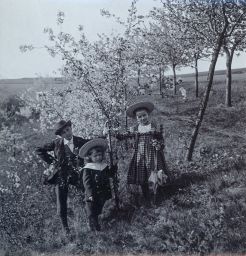 Děti u rozkvetlýcxh stromů, polovina stereofotografie