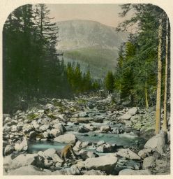Krkonoše, Obří důl, polovina kolorované stereofotografie