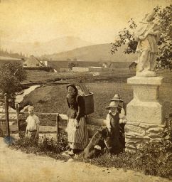 Šumava, cestou z trhu u Železné Rudy, v pozadí Javor, polovina stereofotografie