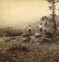 Šumava, sekáči u Debrníku, v pozadí Javor, polovina stereofotografie