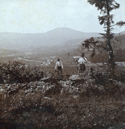 Šumava, sekáči u Debrníku, v pozadí Javor, polovina stereofotografie