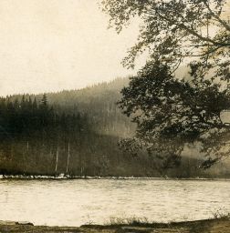 Šumava, Plešné - Plekenštejnské jezero, polovina stereofotografie