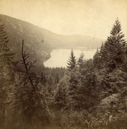 Šumava, Černé jezero z Jezerní stěny, polovina stereofotografie