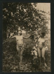 Akty dvou žen v zahradě, polovina stereofotografie