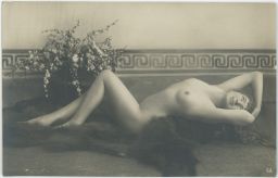 Akt erotika Nackte liegende Dame auf Pelz, Erotik