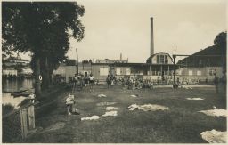Veslařsko-plavecký klub Mladá Boleslav