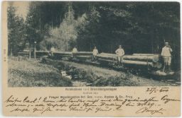 Lesní železnice Waldbahnen und Bremsberganlagen Rustonka 1900