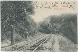 Železnice lokomotiva Budapest Svábhegy SLM 31 1910