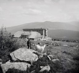 Krkonoše, Petrova bouda a Sněžka, stereonegativ