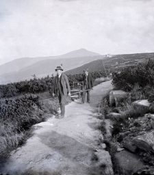 Krkonoše, nosiči turistů, v pozadí Heinrichova bouda a Sněžka, stereonegativ