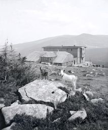 Krkonoše, Petrova bouda a Sněžka, stereonegativ