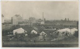 Praha Smíchov botanická zahrada 1924