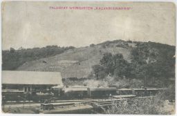 Železnice nádraží Kalvárie Bratislava nakl. Palugyay loko 166.11 1906