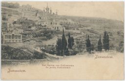 Gethsemanská zahrada Jerusalém