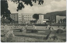 Slovensko - Svit - spoločenský dom - sušení sena - real photo