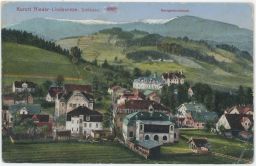 Dolní Lipová - Nieder Lindewiese - Jeseníky - pohled na město - 1941
