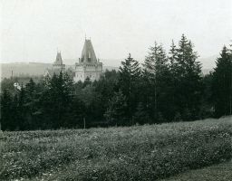Zámek Červený Hrádek, celkový pohled s lesem, polovina stereofotografie
