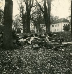 Naštípané dřevo v neznámém zámeckém parku, polovina stereofotografie