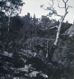 Hrad Velhartice z lesa, polovina stereofotografie