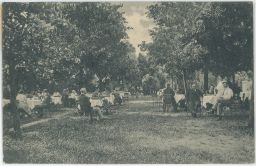 Hotel Bohemia Malá Čermná Hronov Náchod 1925