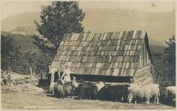 Radhošť salaš ovce nakl. Pospíchal 1928